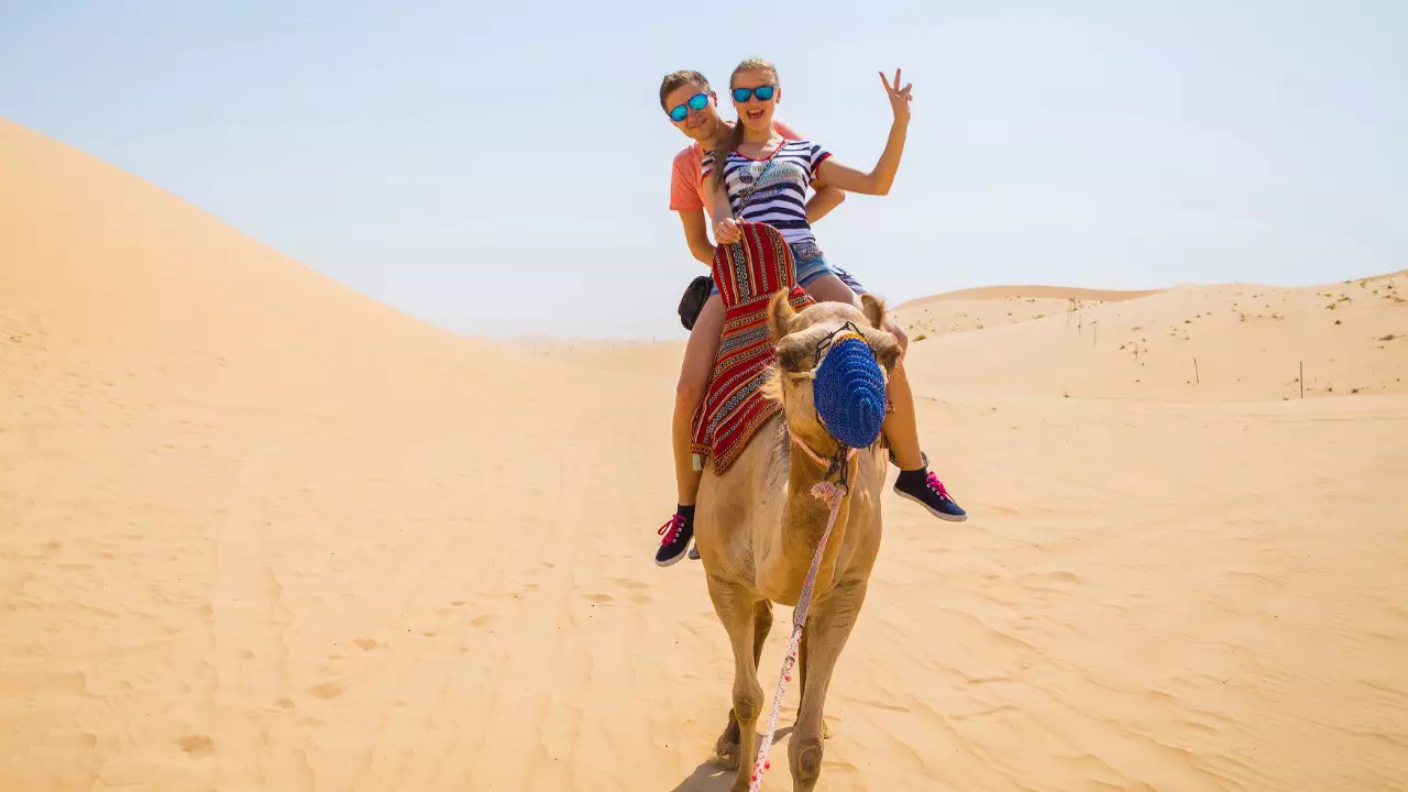 Morning Desert Safari Dubai  - Image 7