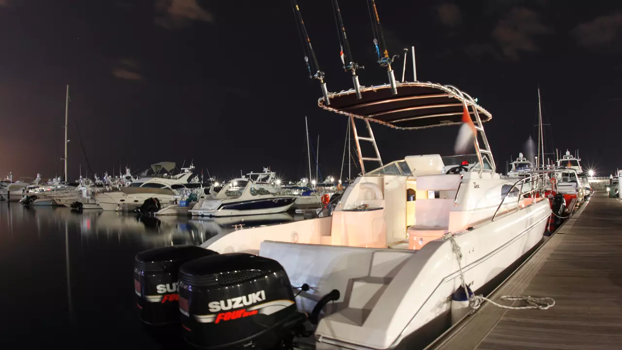 Deep Sea Fishing in Abu Dhabi - Image 6