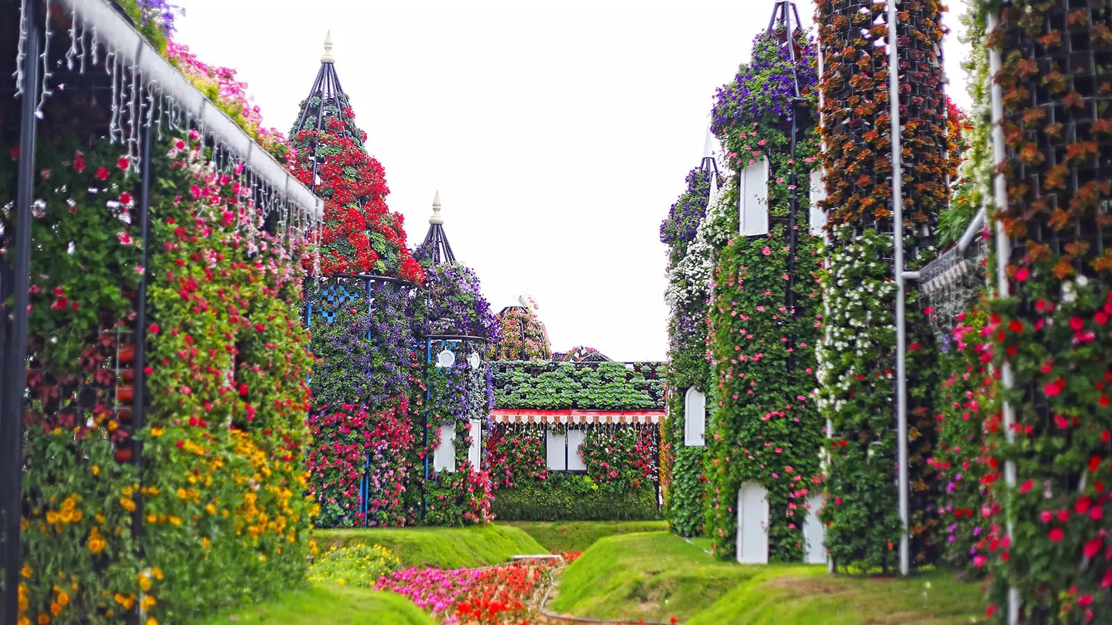 Dubai Miracle Garden - Photo 18