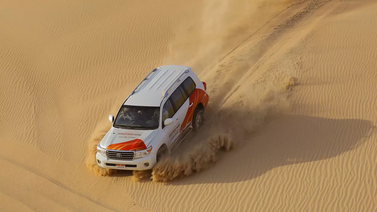 Desert Safari in Abu Dhabi - Image 6