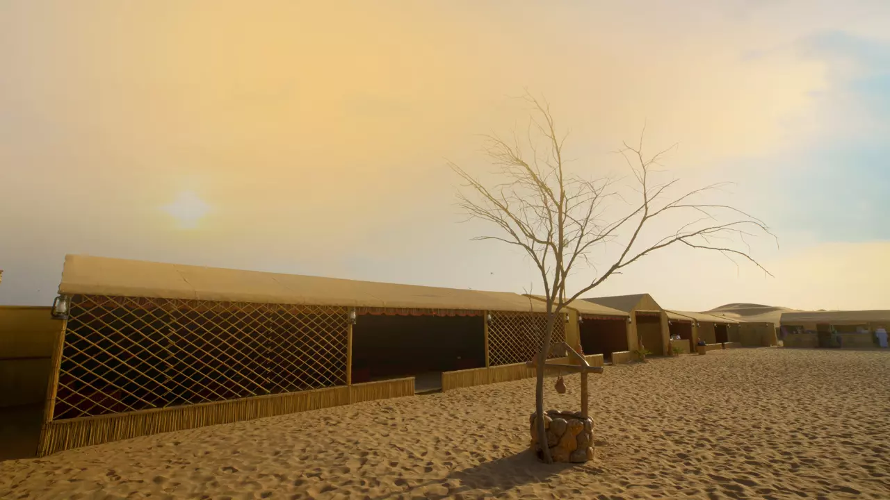 Desert Safari in Abu Dhabi - Image 8