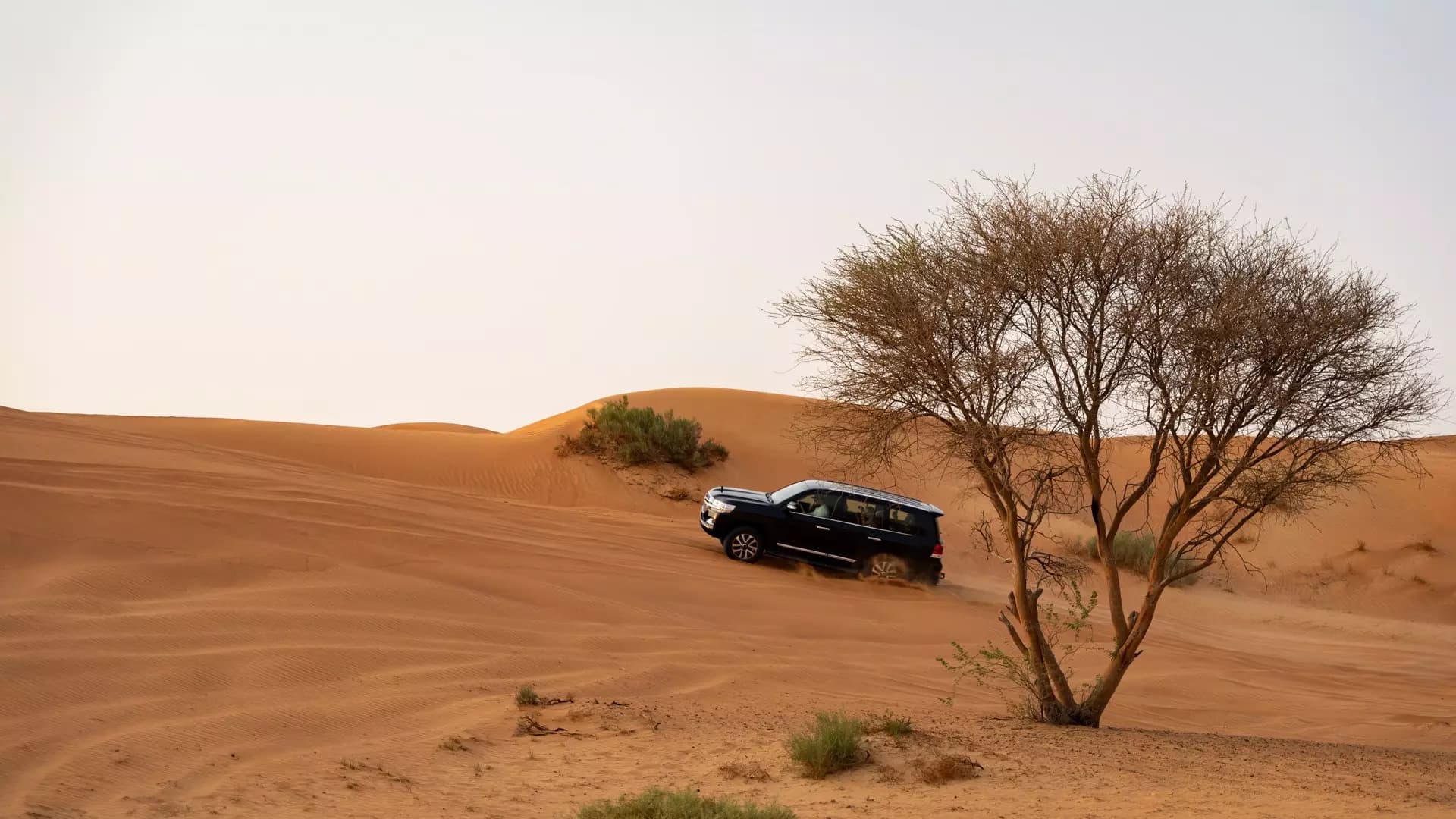 Desert Safari in Ras Al-Khaimah & Fujeirah - Photo 35