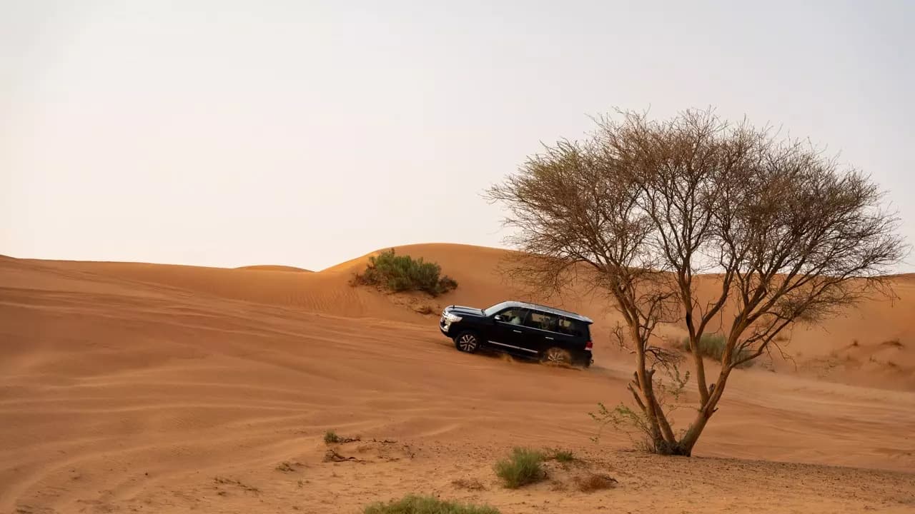 Desert Safari in Ras Al-Khaimah & Fujeirah
