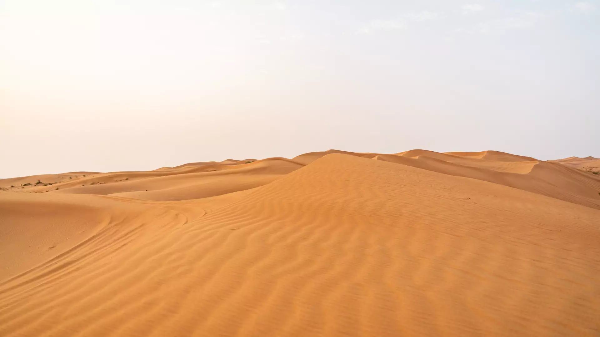 Desert Safari in Ras Al-Khaimah & Fujeirah - Photo 38