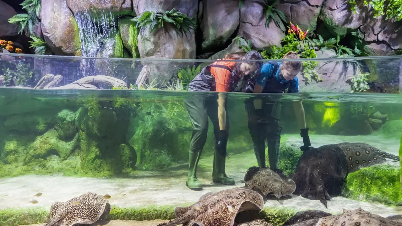 National Aquarium Abu Dhabi  - Image 7