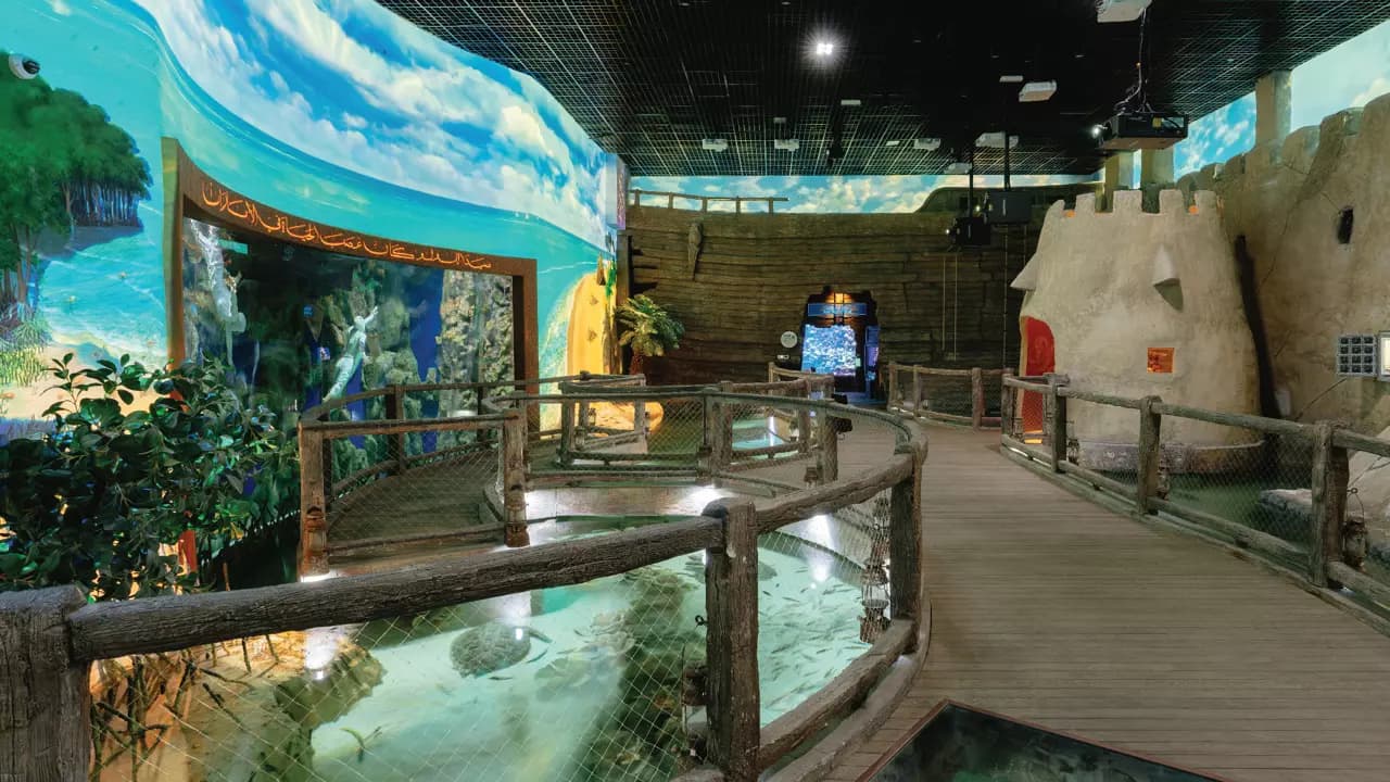 National Aquarium Abu Dhabi  - Photo 14