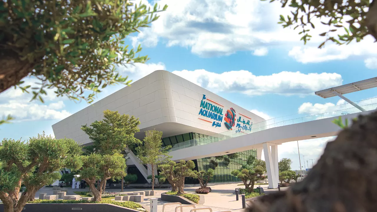 National Aquarium Abu Dhabi  - Photo 15