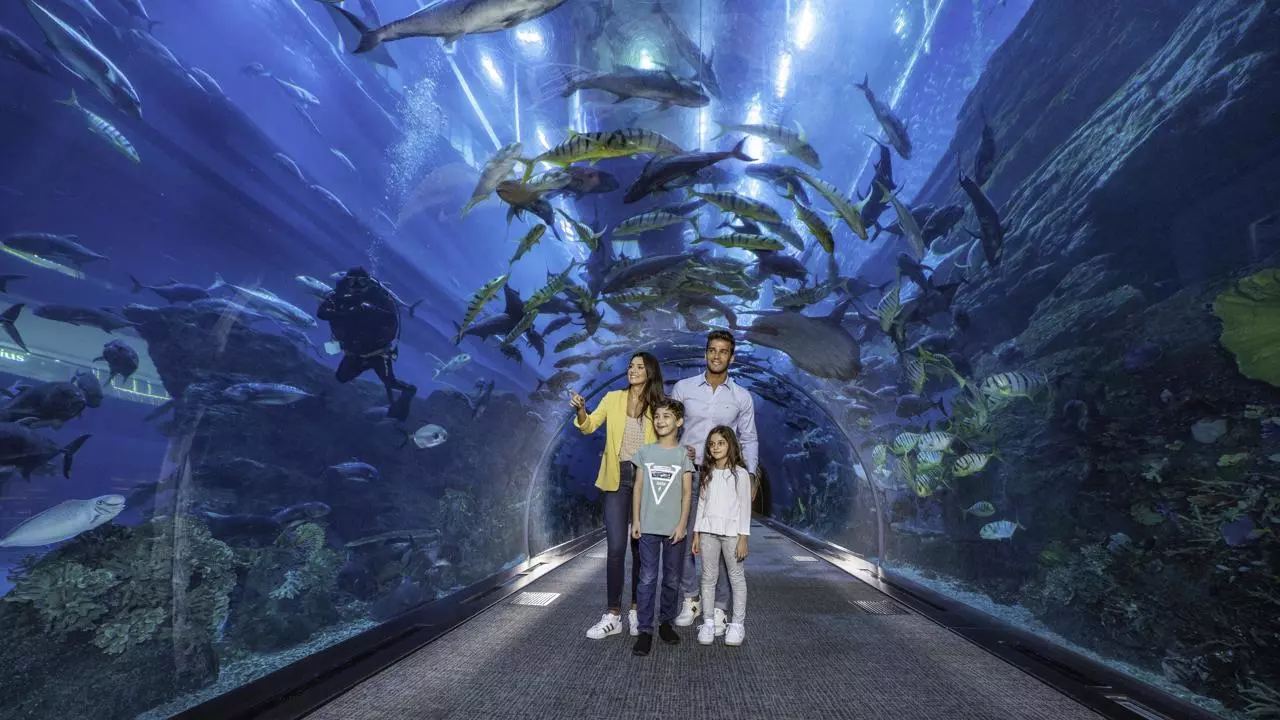 Aquarium and Underwater Zoo at the Dubai Mall - Image 6