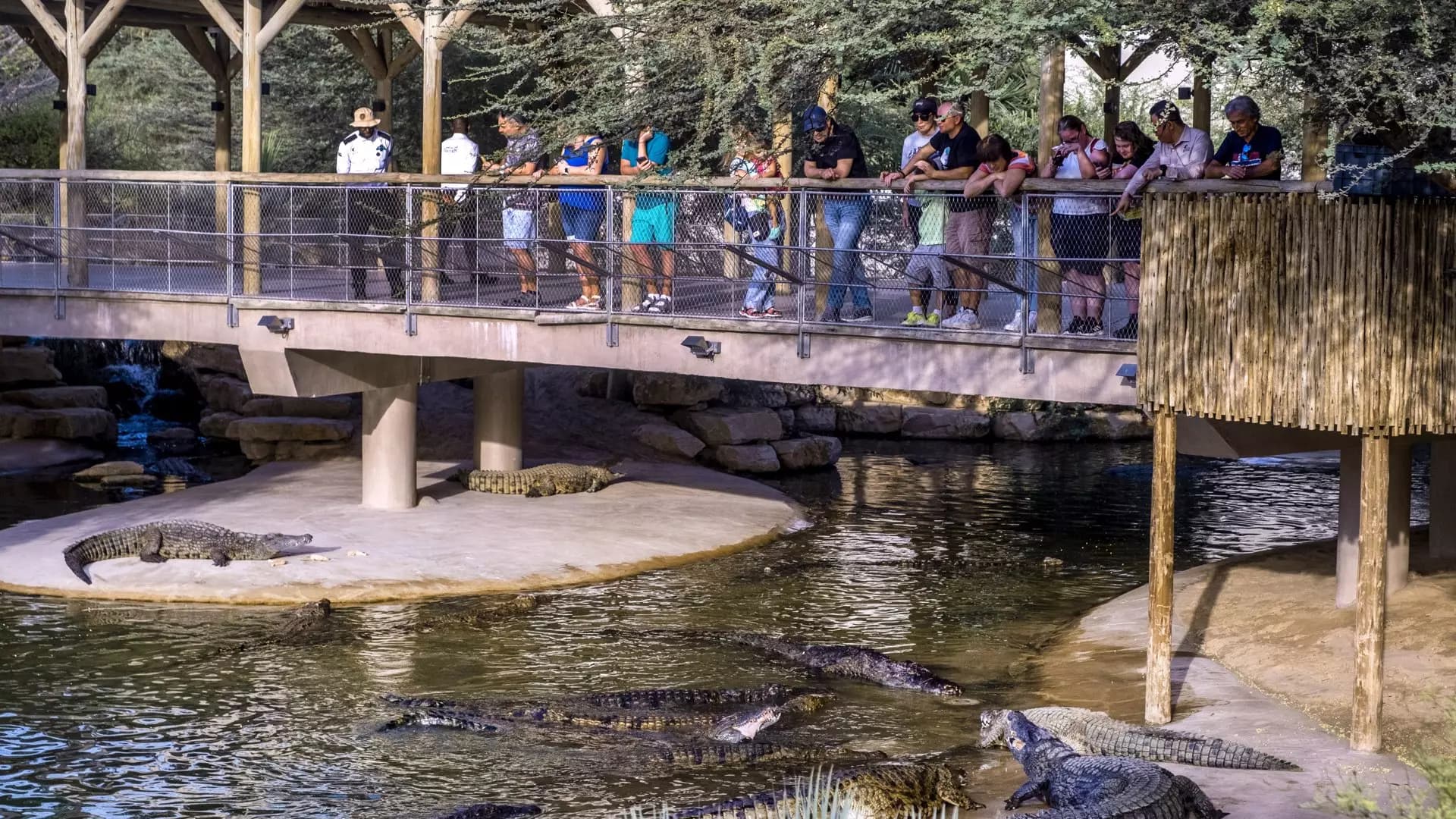 Dubai Crocodile Park - Photo 13