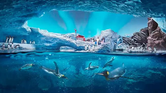 Yas Island Multi Day, Multi Park Ticket (Ferrari, Warner, Yas & Seaworld) - Photo 41