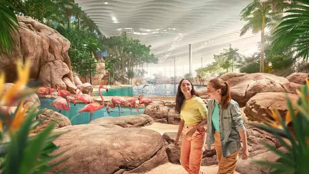 Yas Island Multi Day, Multi Park Ticket (Ferrari, Warner, Yas & Seaworld) - Photo 44