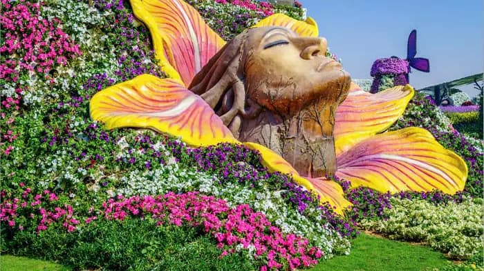 Dubai Miracle Garden - Image 6
