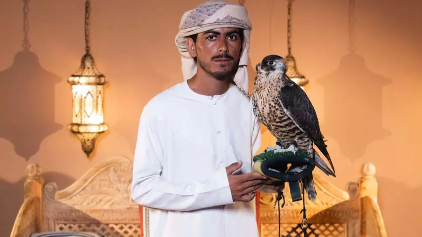 Desert Safari in Dubai + Noble Safari Camp - Image 5