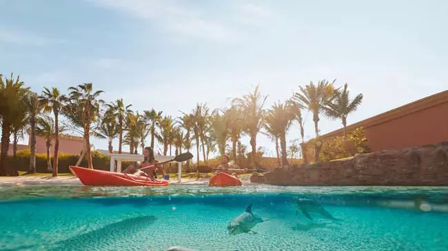 Dolphin Bay at Atlantis the Palm - Photo 19