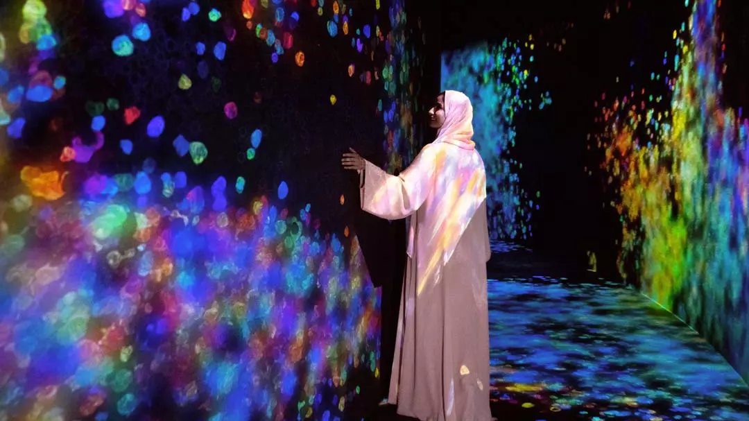 TeamLab Phenomena - Image 2