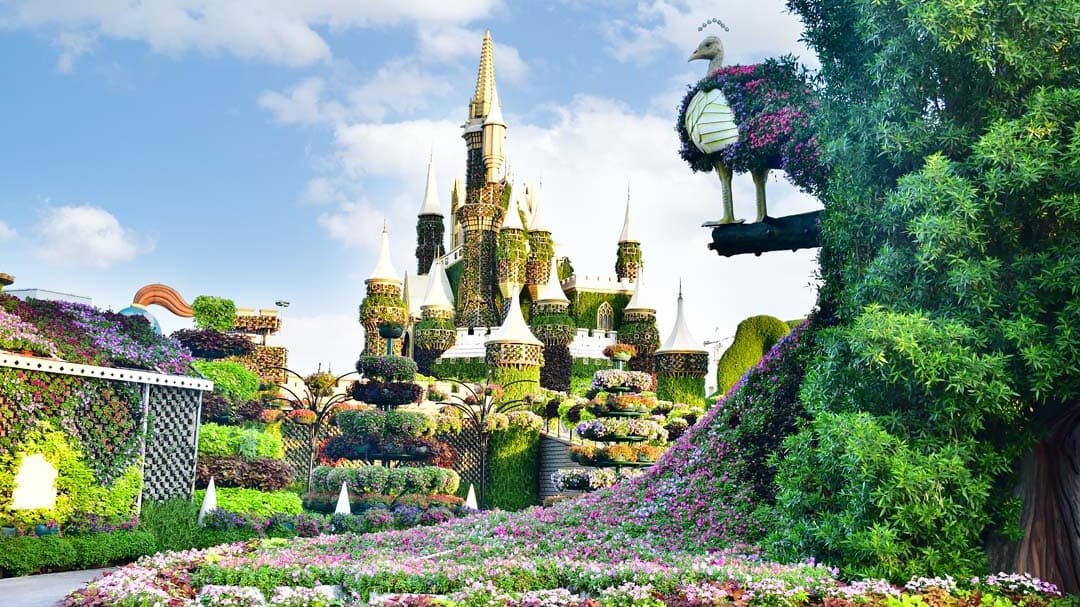 Dubai Miracle Garden - Photo 28