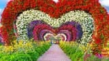 Dubai Miracle Garden - Photo 16