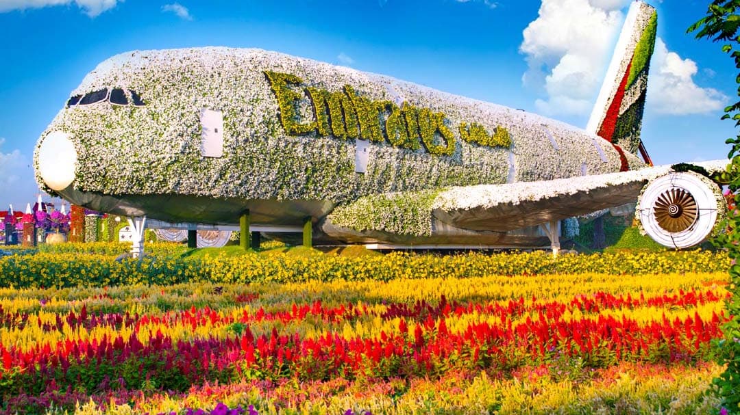 Dubai Miracle Garden - Photo 30
