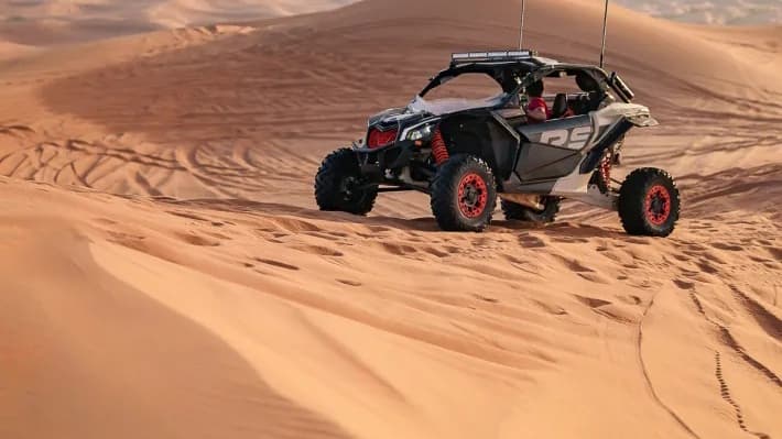 Desert Safari in Dubai + Noble Safari Camp - Photo 15
