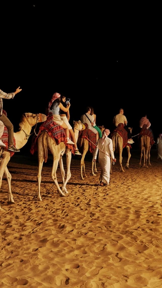 Desert Safari in Dubai + Noble Safari Camp - Photo 29