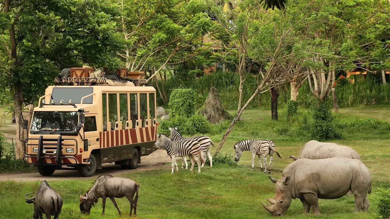 Bali Safari Park Ticket - Photo 1