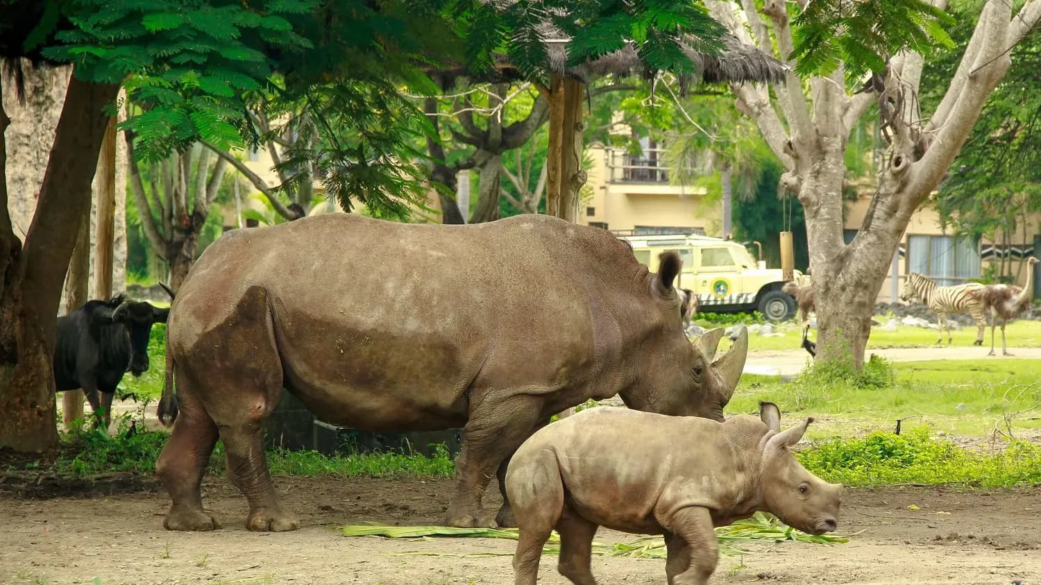 Bali Safari Park Ticket - Photo 18