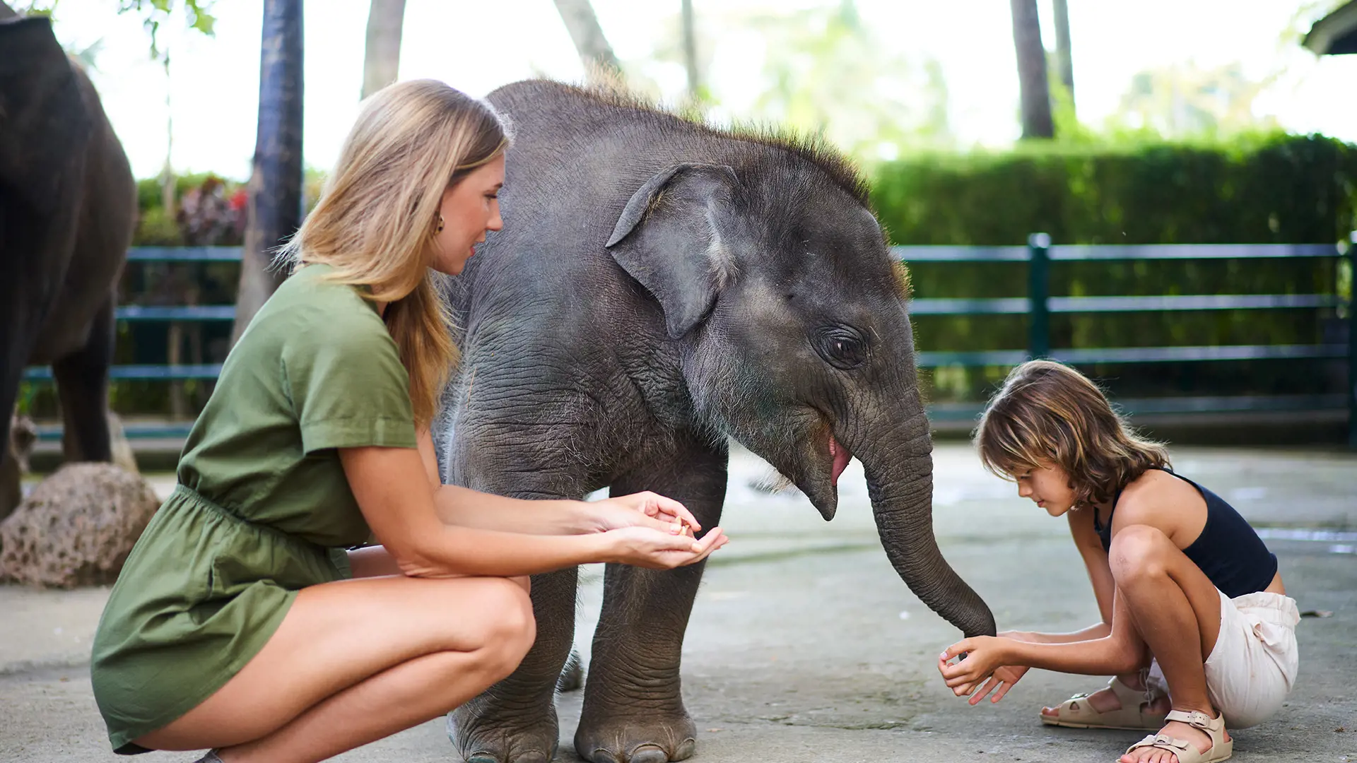 Mason Elephant Park Bali by Mason Adventures (Formerly known as Elephant Safari Park) - Photo 15