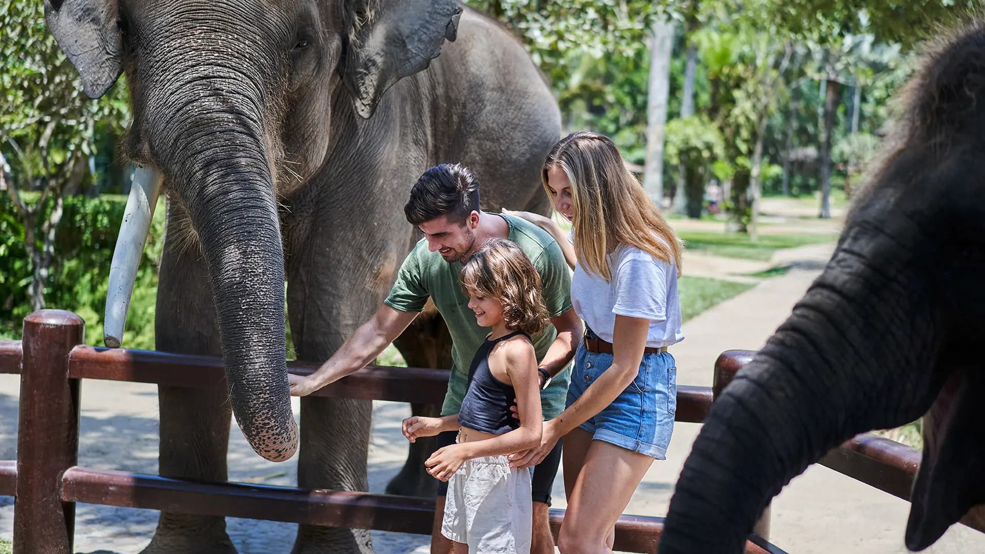 Mason Elephant Park Bali by Mason Adventures (Formerly known as Elephant Safari Park) - Photo 18