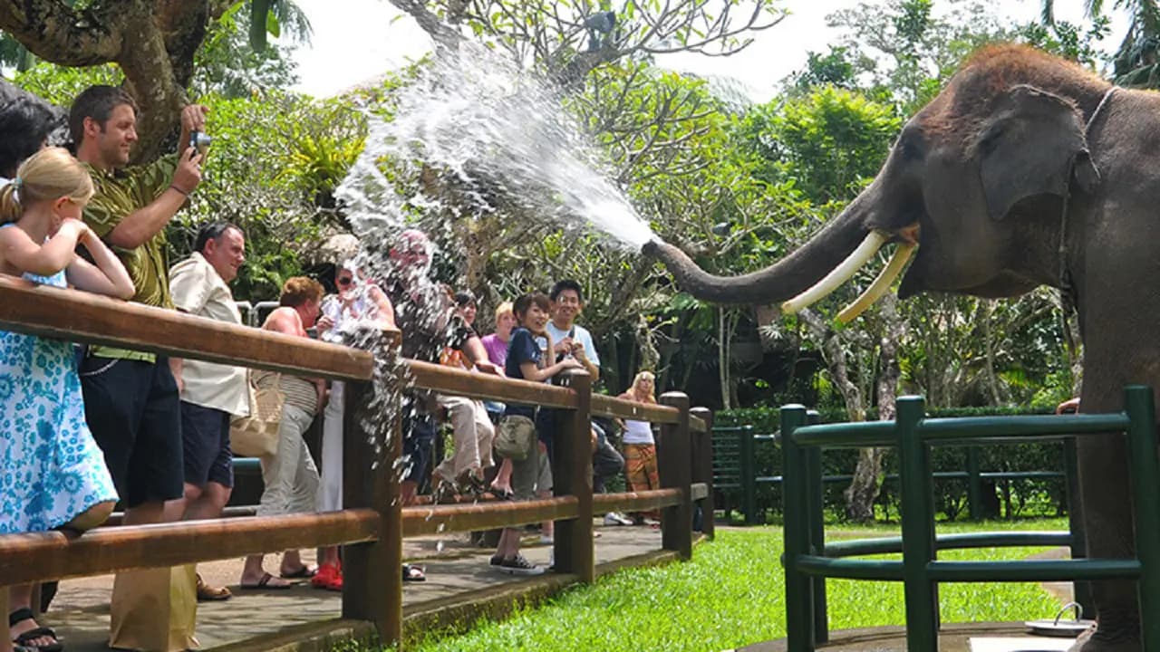 Mason Elephant Park Bali by Mason Adventures (Formerly known as Elephant Safari Park) - Photo 6