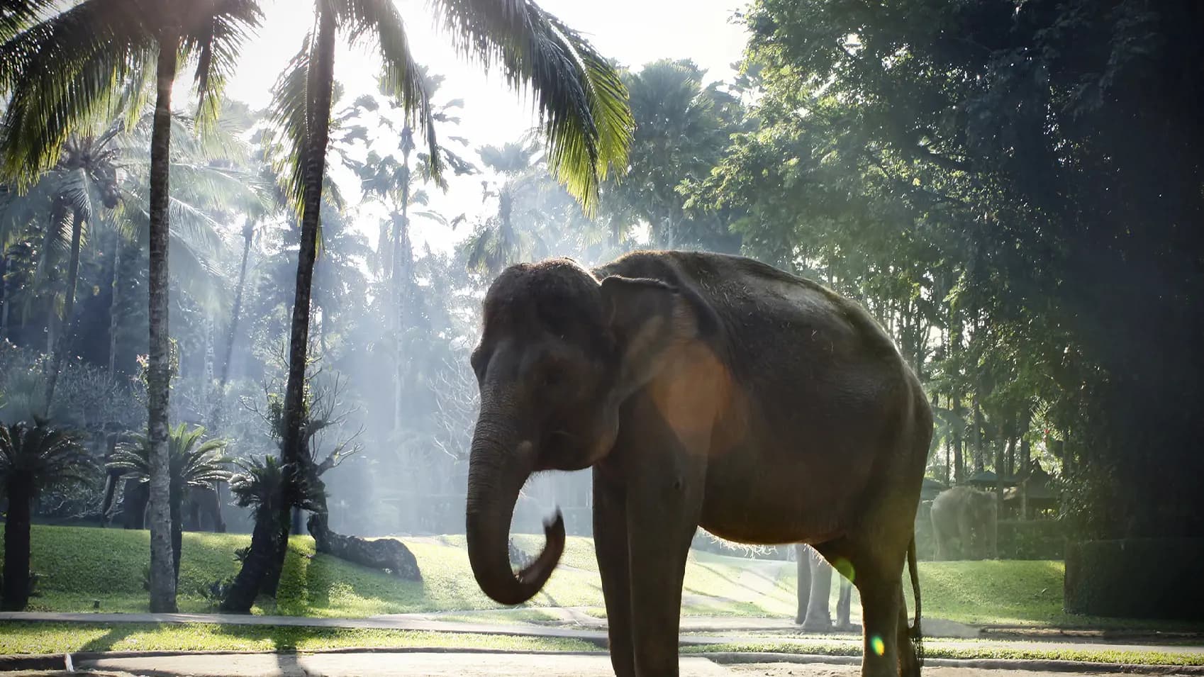 Mason Elephant Park Bali by Mason Adventures (Formerly known as Elephant Safari Park) - Photo 21