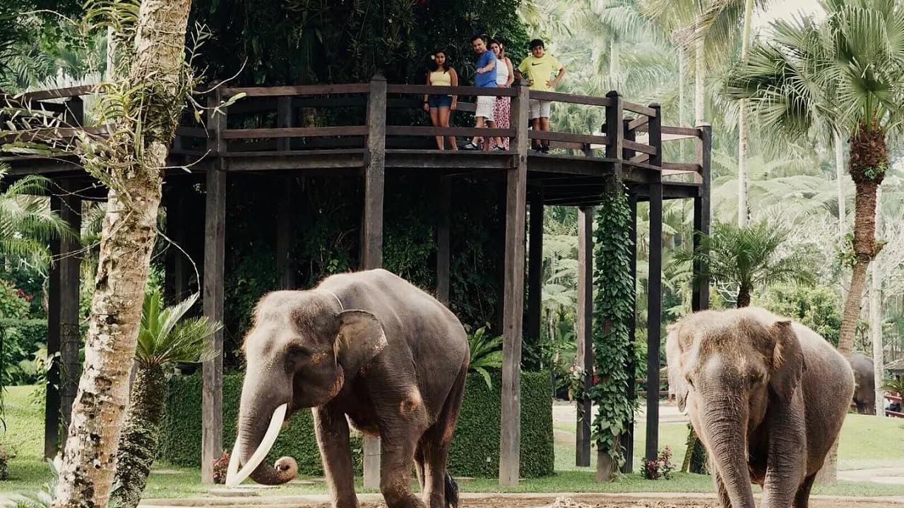 Mason Elephant Park Bali by Mason Adventures (Formerly known as Elephant Safari Park) - Photo 22