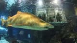 Barcelona Aquarium Ticket - Photo 11