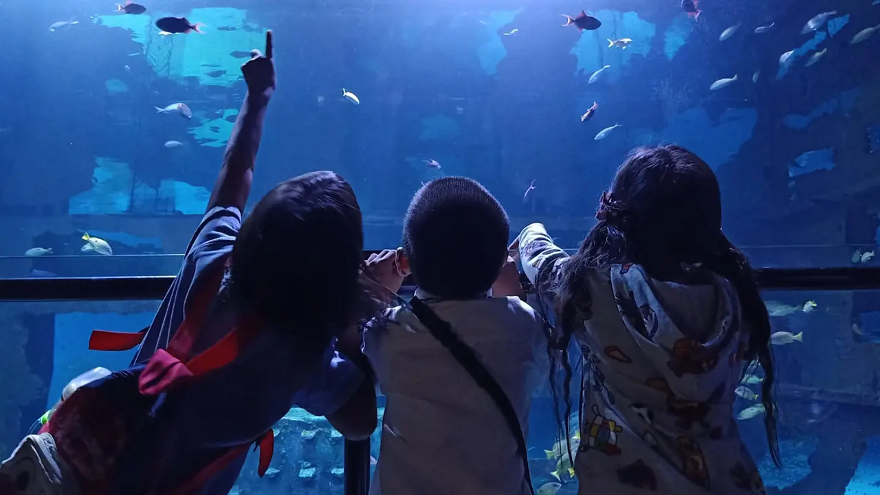Aquaria Phuket - Photo 1