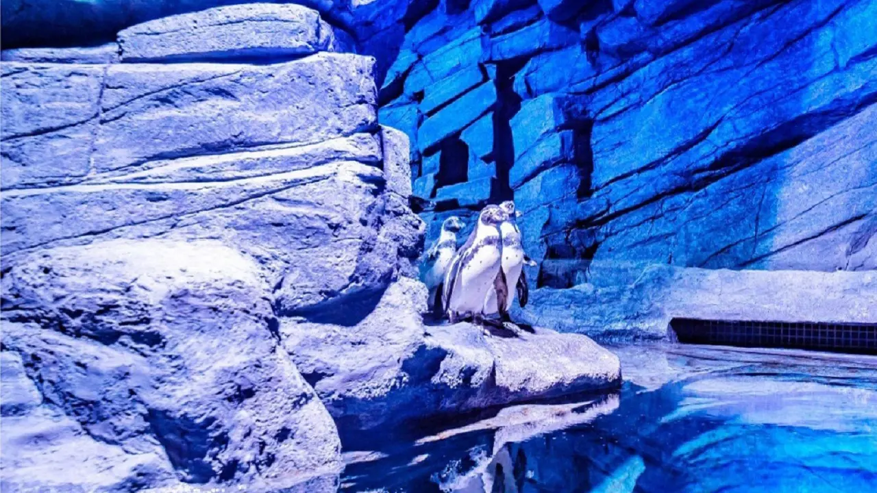 Aquaria Phuket - Photo 44