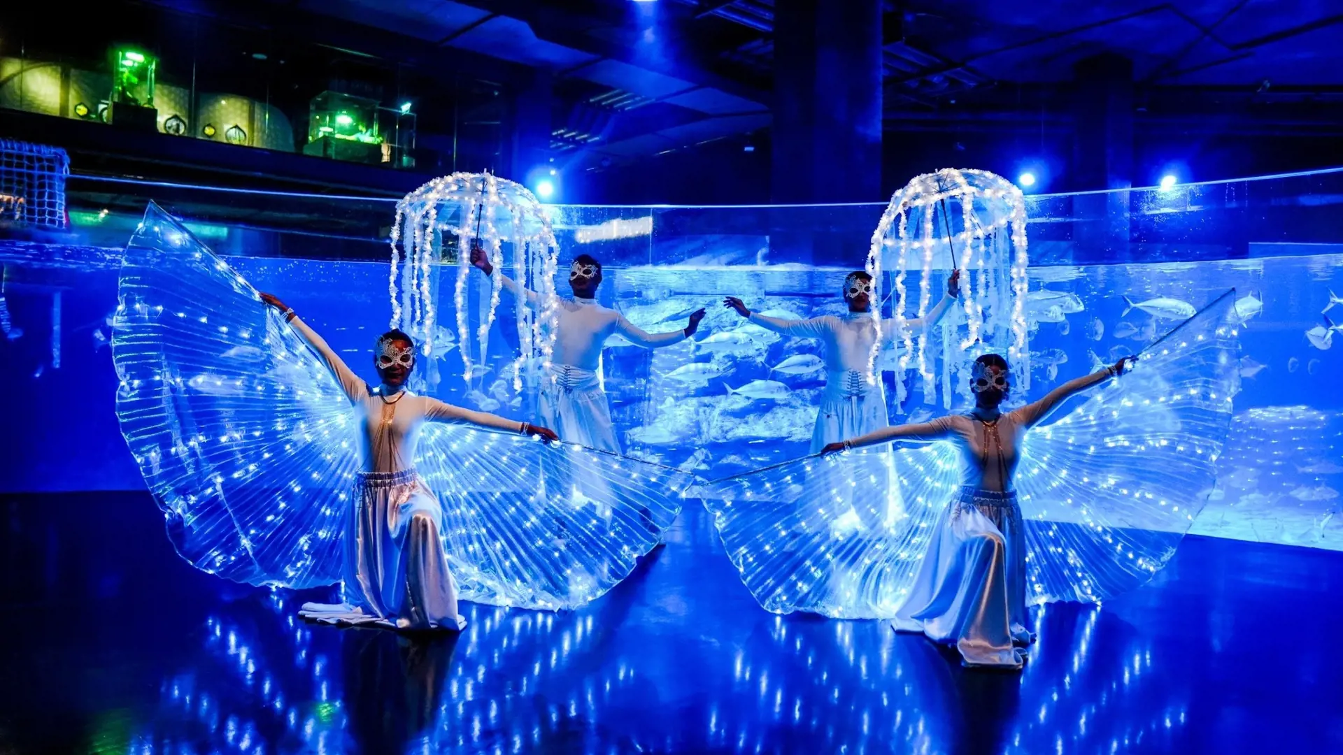 Aquaria Phuket - Photo 45