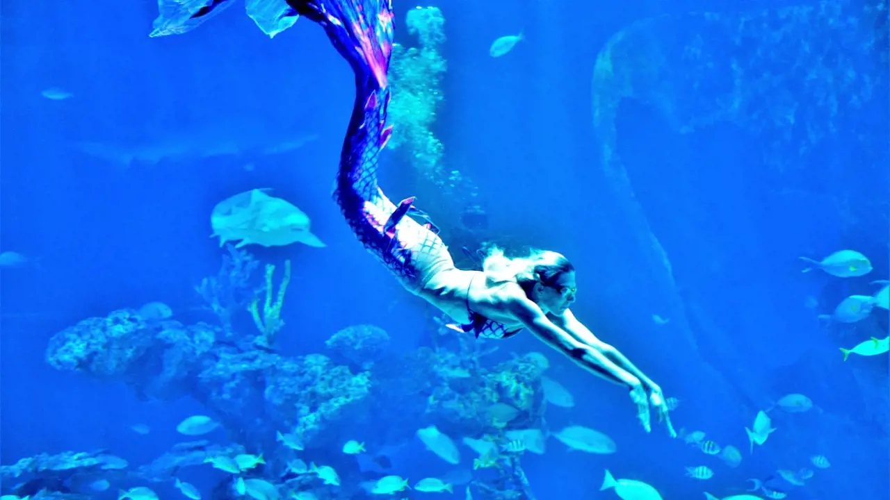 Aquaria Phuket - Photo 18