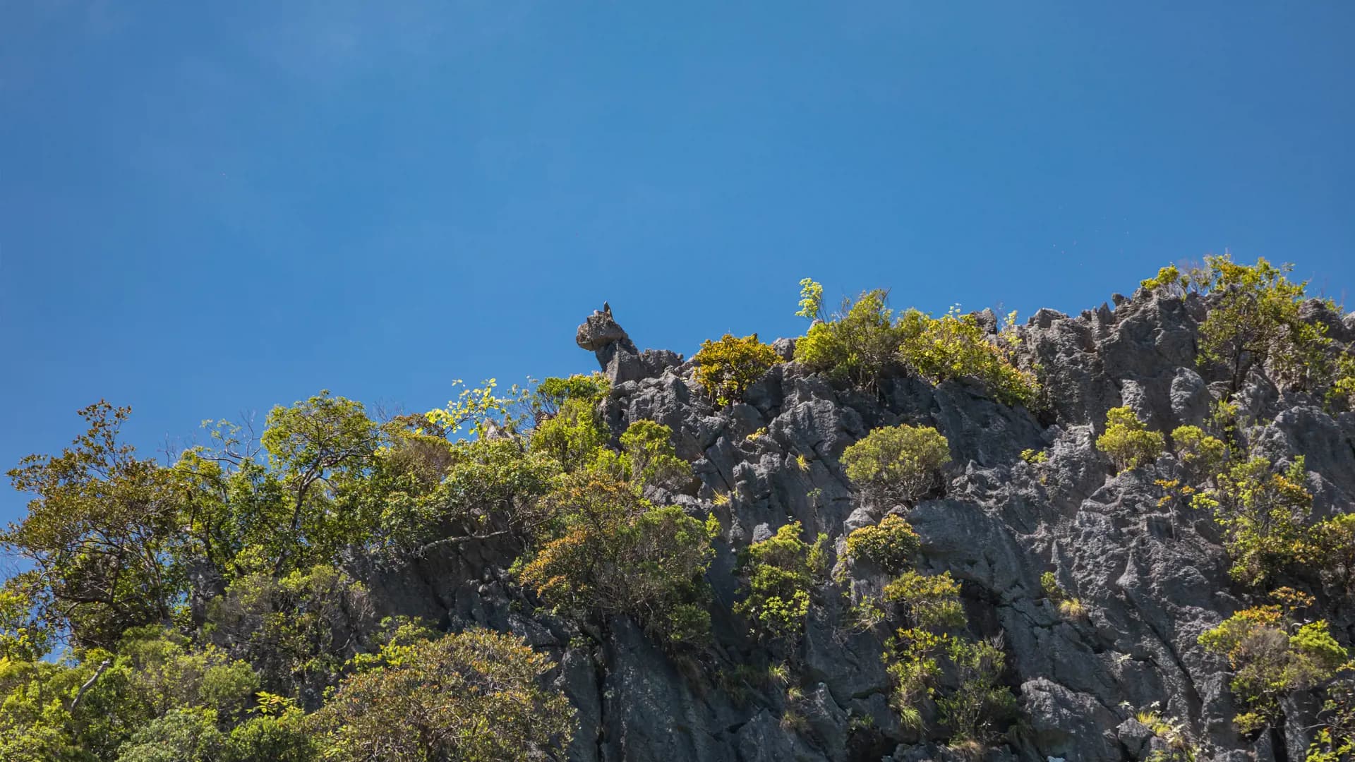 James Bond Island, Phang-Nga Bay, Hong Island, and Khai Island Tour from Phuket - Photo 31
