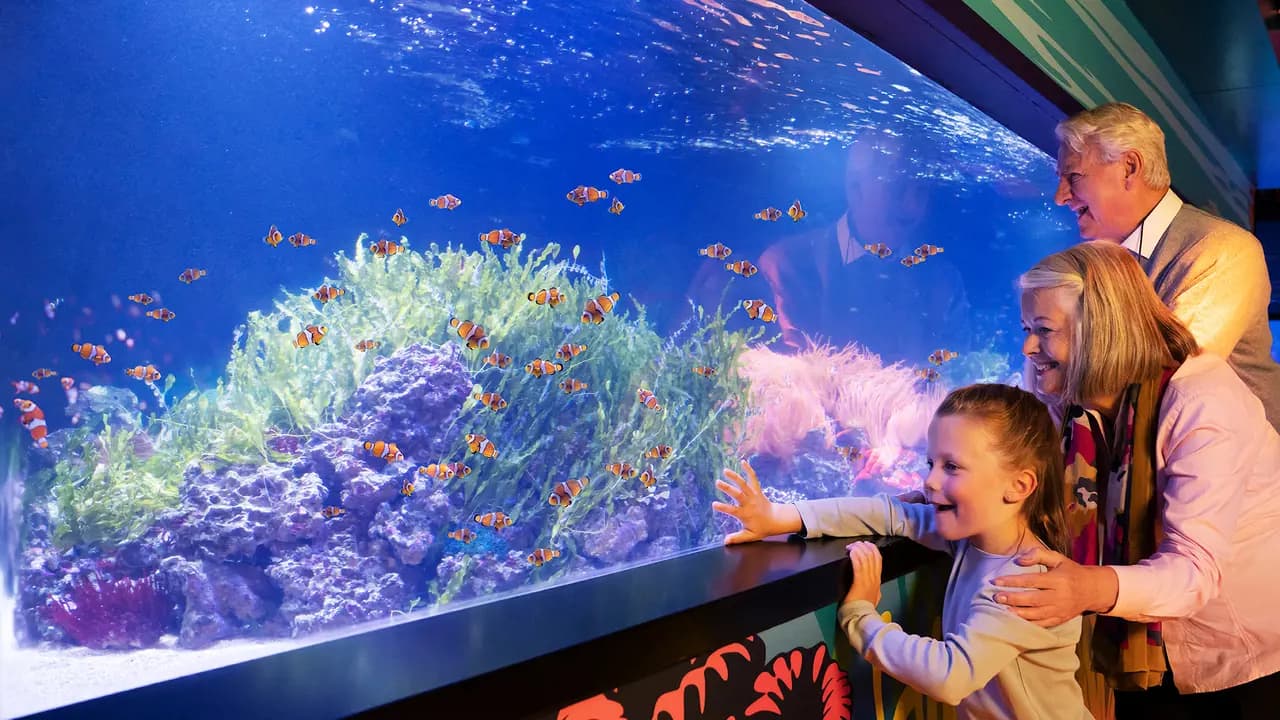 SEA LIFE London Aquarium Ticket - Photo 1