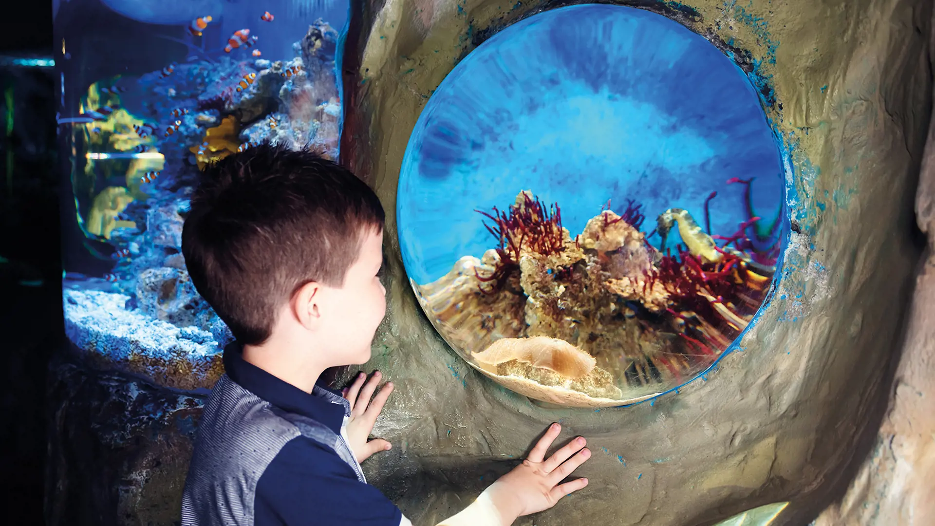 SEA LIFE London Aquarium Ticket - Photo 24