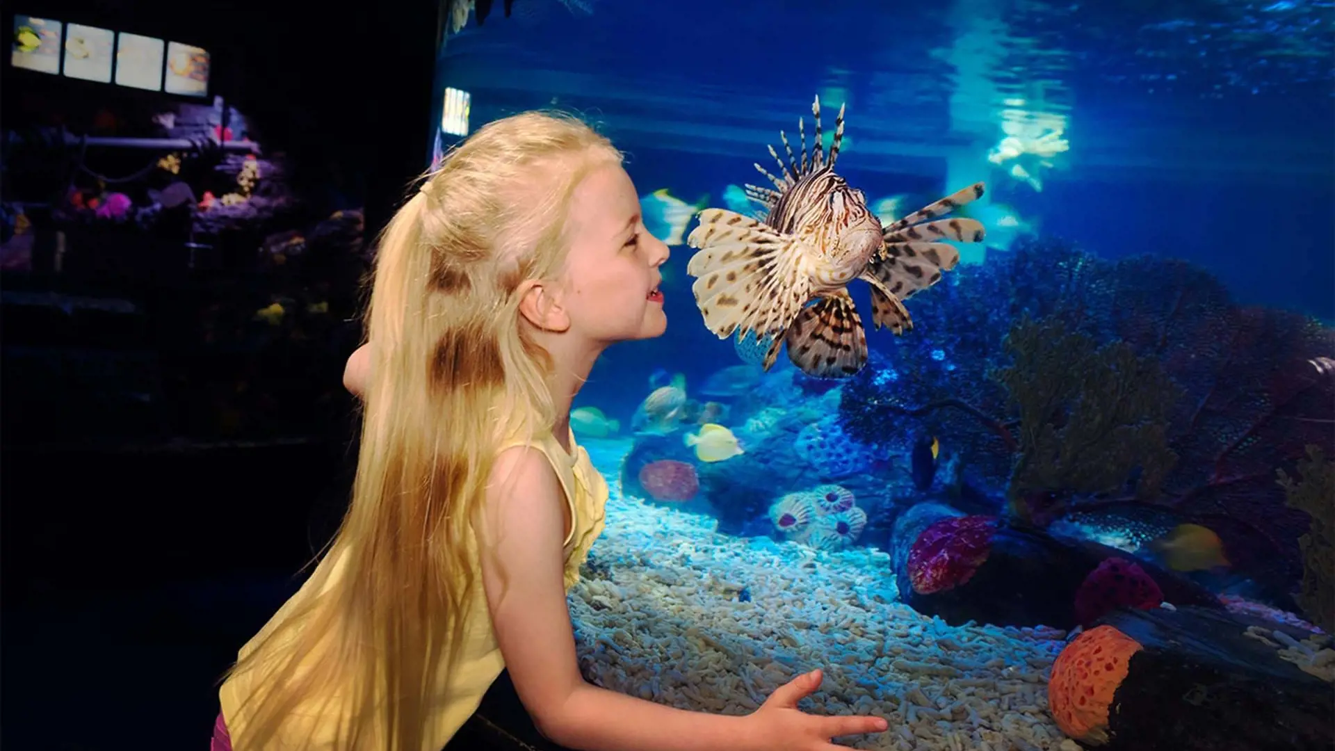 SEA LIFE London Aquarium Ticket - Photo 35