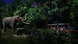 Singapore Night Safari Ticket - Photo 15