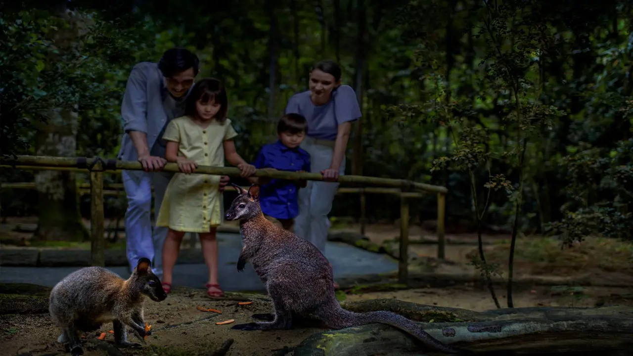 Singapore Night Safari Ticket - Photo 4