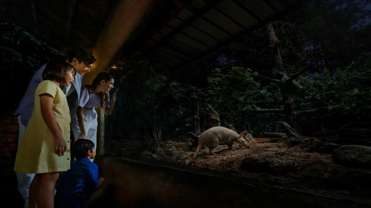 Singapore Night Safari Ticket - Photo 5