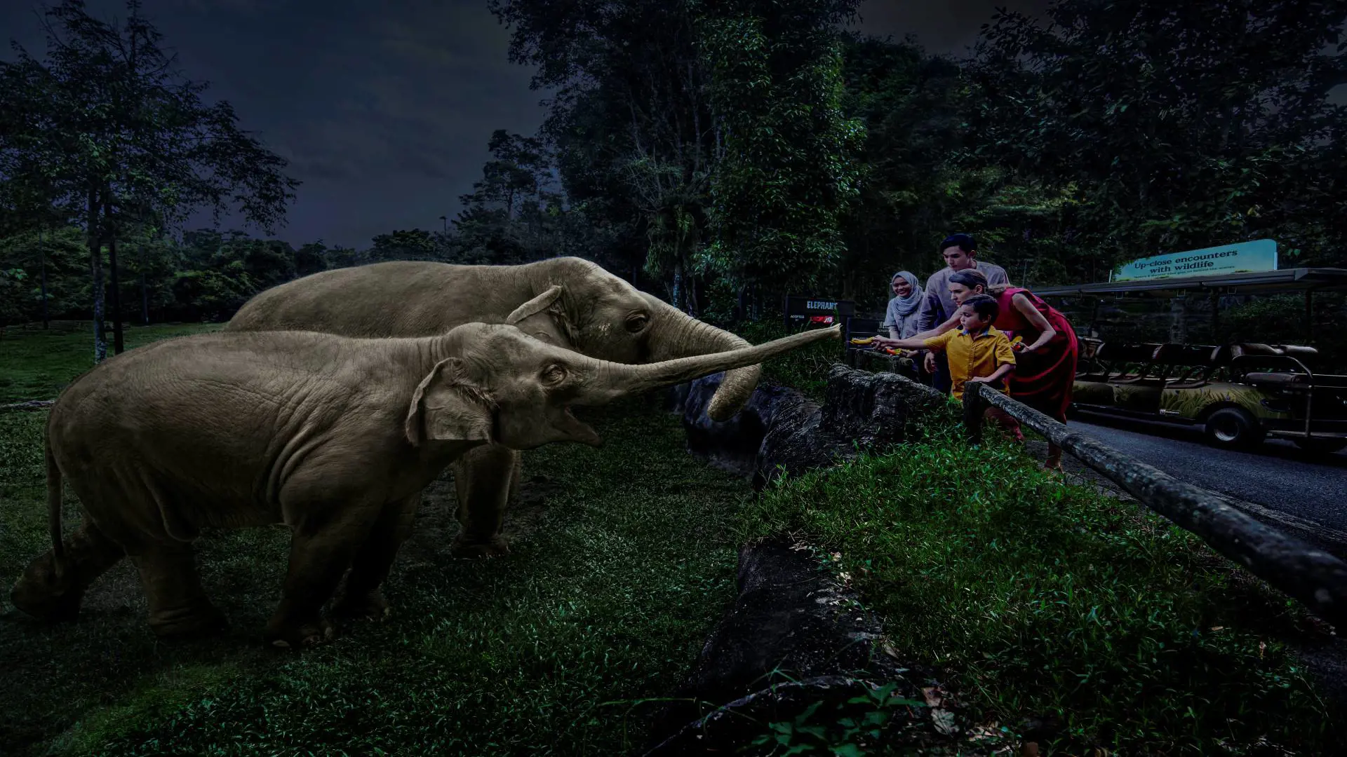 Singapore Night Safari Ticket - Photo 22