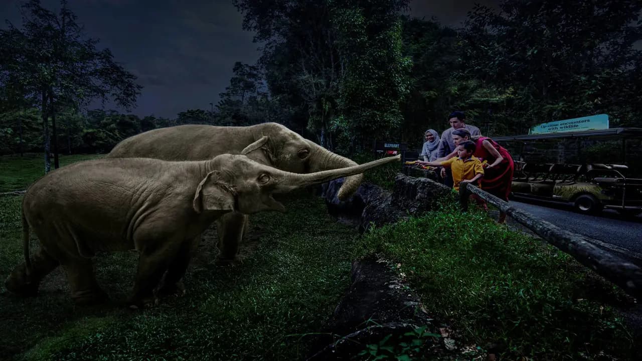 Singapore Night Safari Ticket - Photo 6