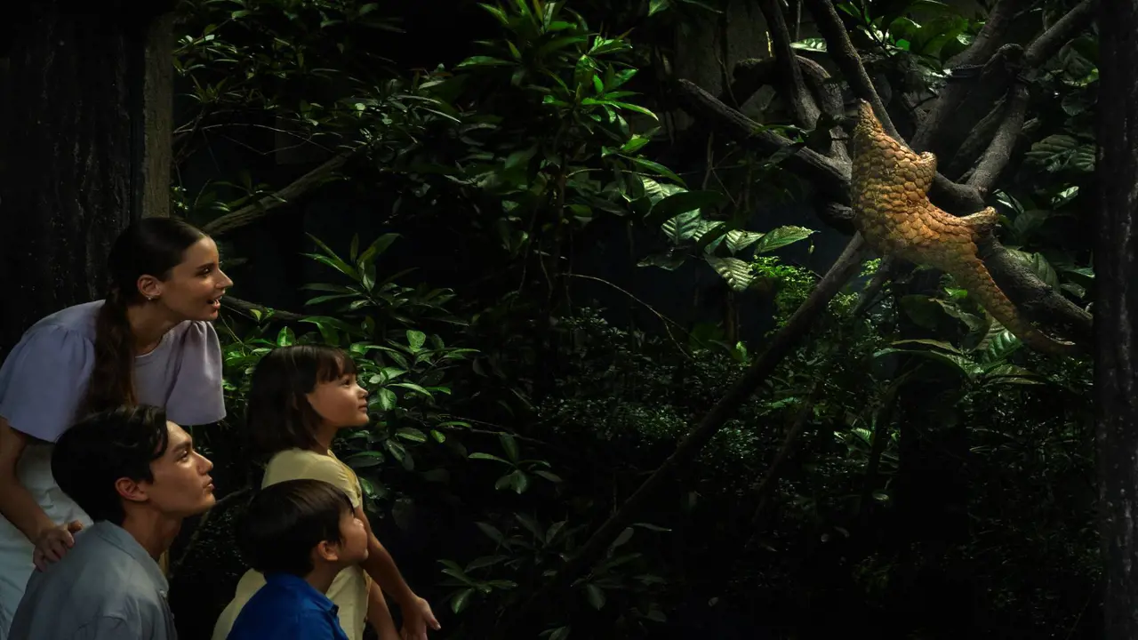 Singapore Night Safari Ticket - Photo 8