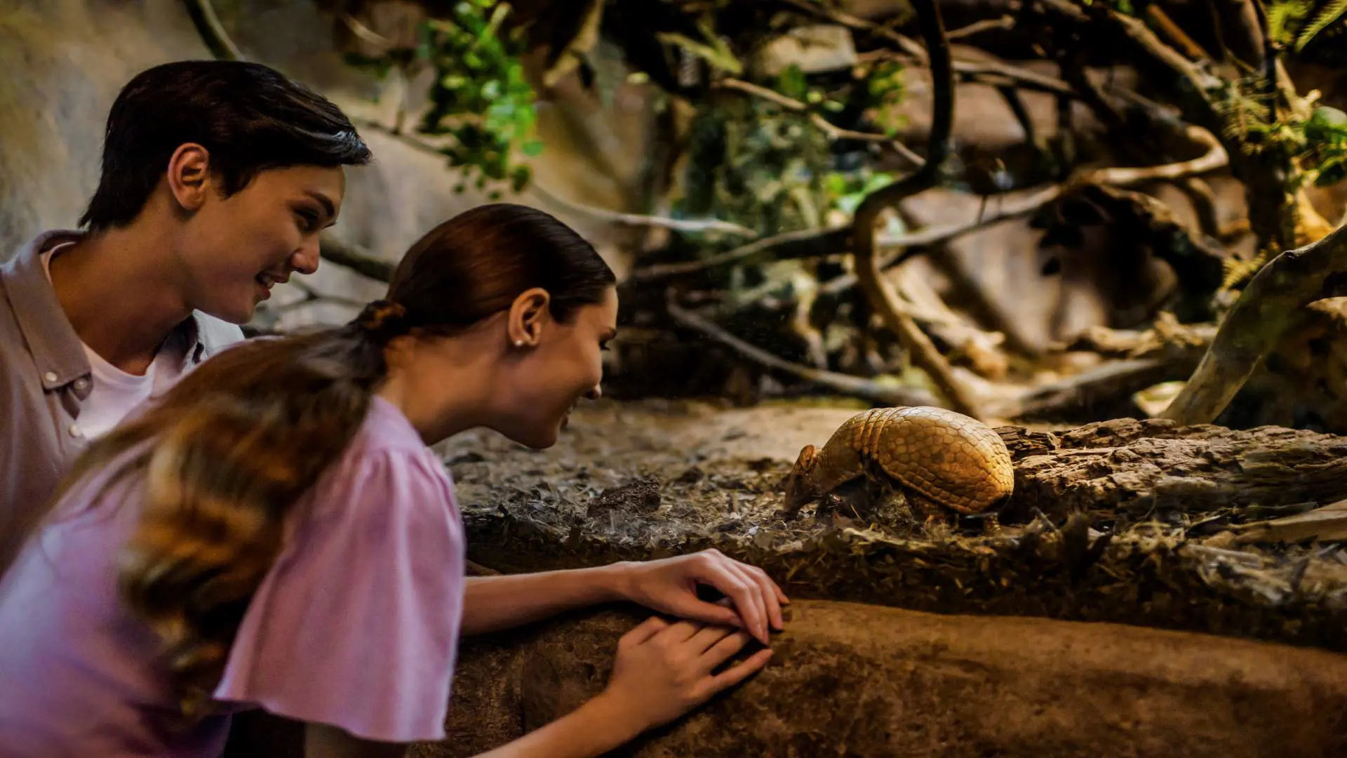 Singapore Night Safari Ticket - Photo 25