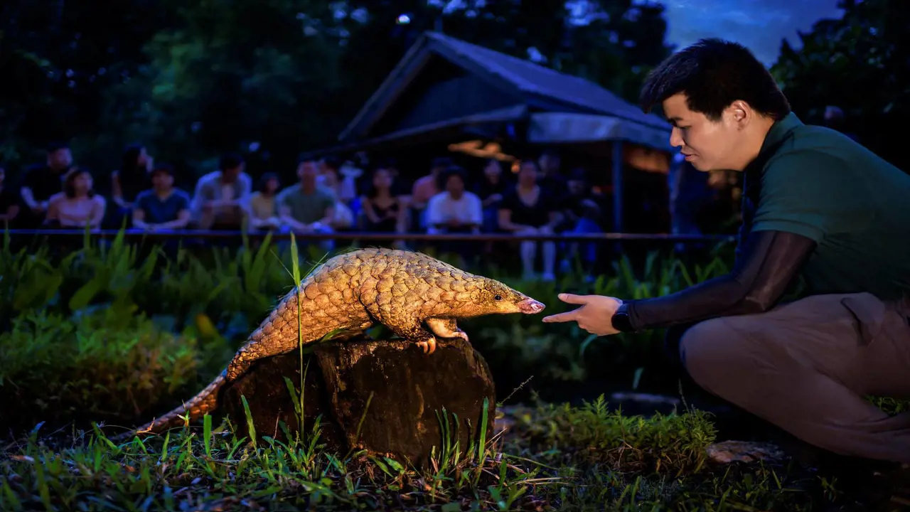 Singapore Night Safari Ticket - Photo 10