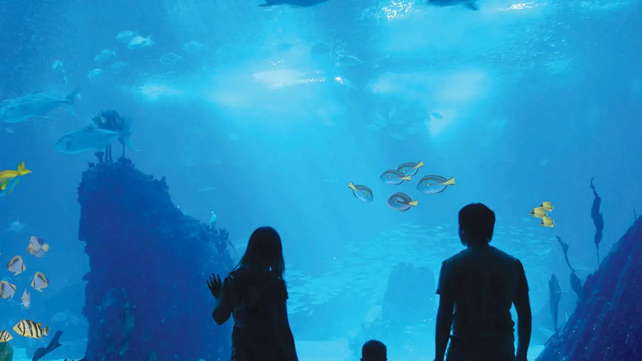 Antalya Aquarium and Face 2 Face Wax Museum Ticket - Photo 2