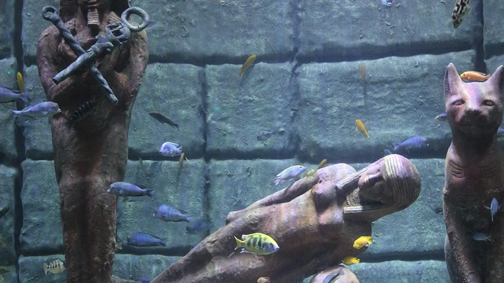 Antalya Aquarium and Face 2 Face Wax Museum Ticket - Photo 13